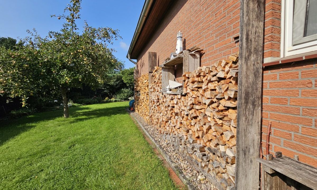 Blick in den Garten