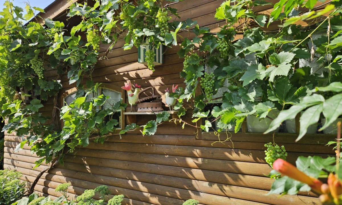 Impression Gartenhaus