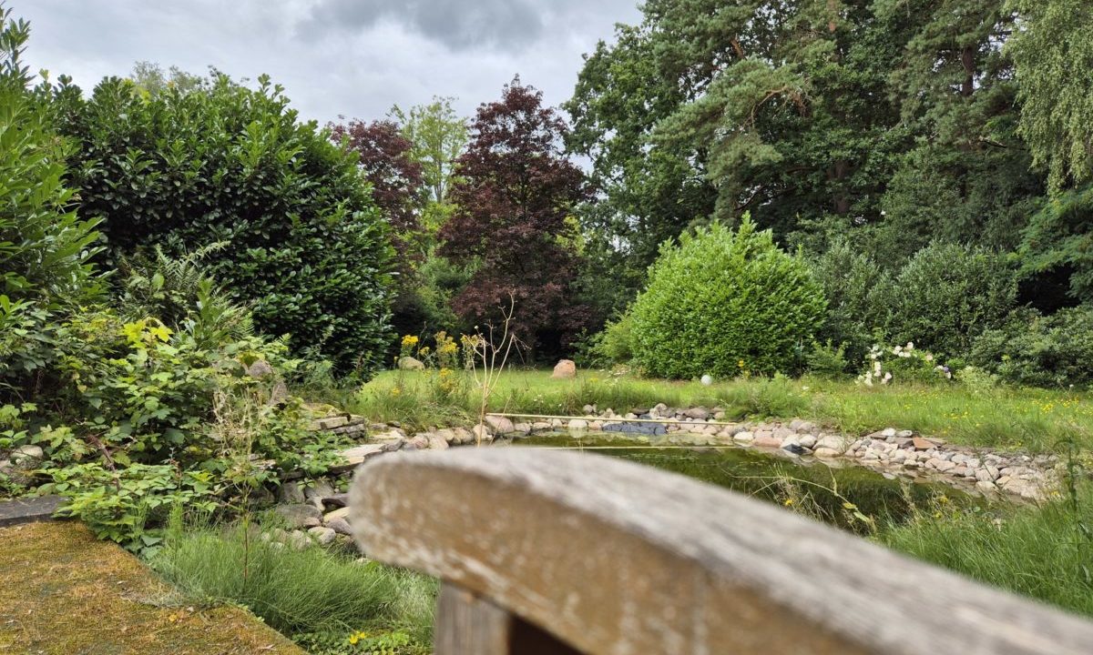 Geschützte Ecke vor dem Haus am Teich