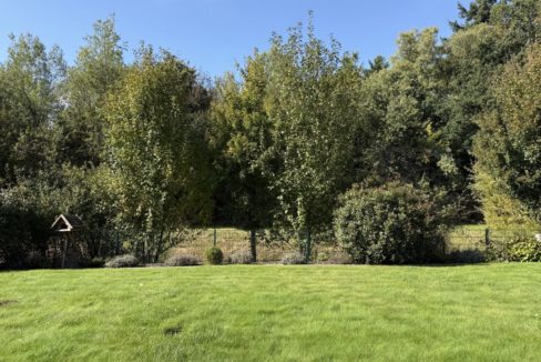 Blick ins Grüne